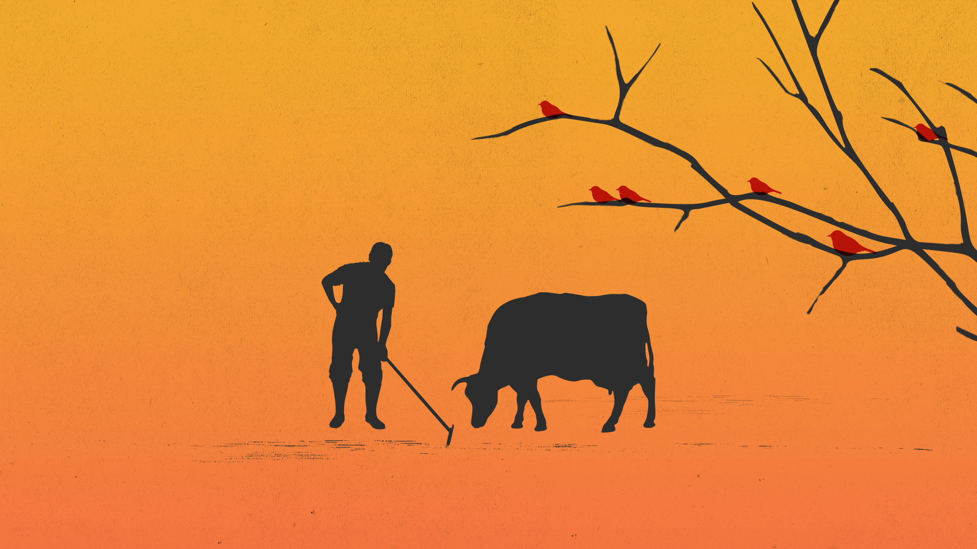 Editorial illustration avian flu, a human working on a field and a cow, and birds watching them